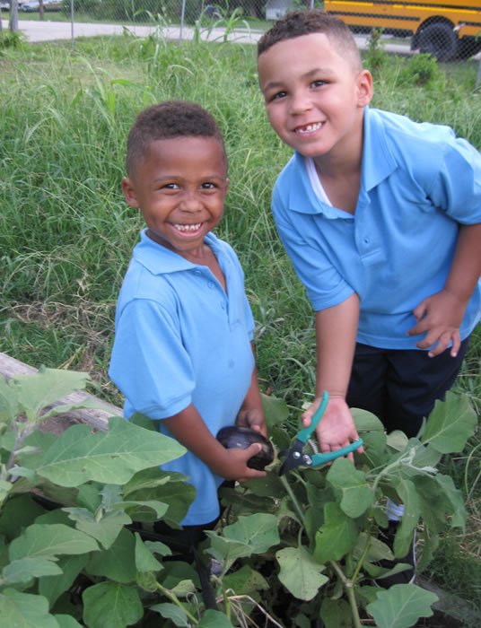 target-hunger-garden target-hunger-garden