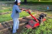 Meet Our Garden Intern!