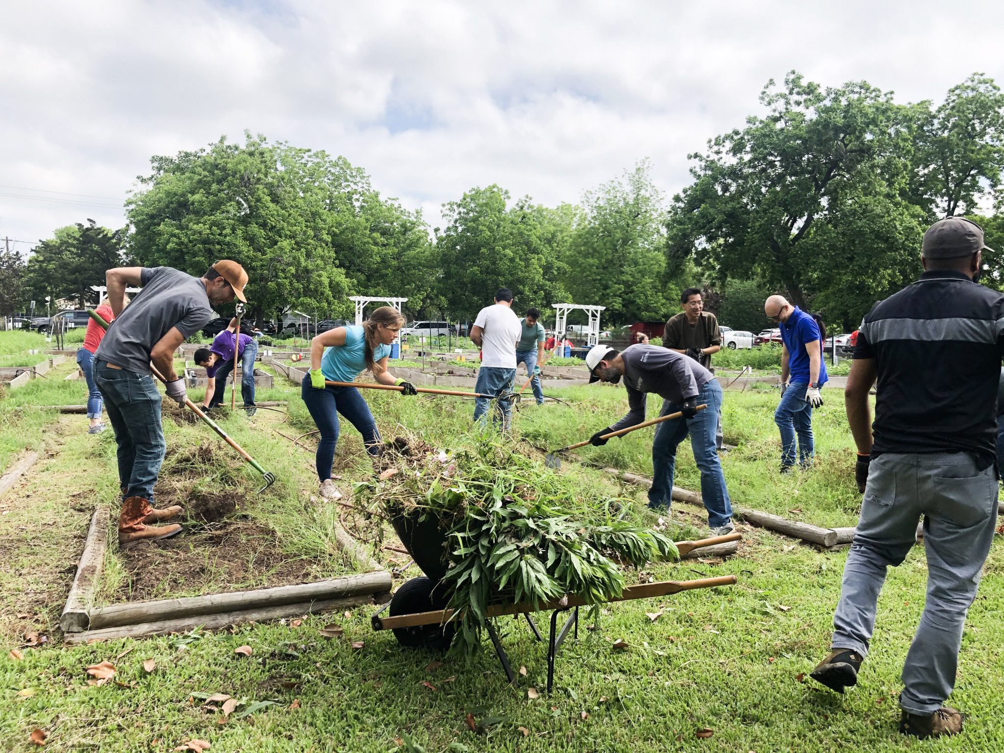 77026 A History of Kashmere Gardens Target Hunger